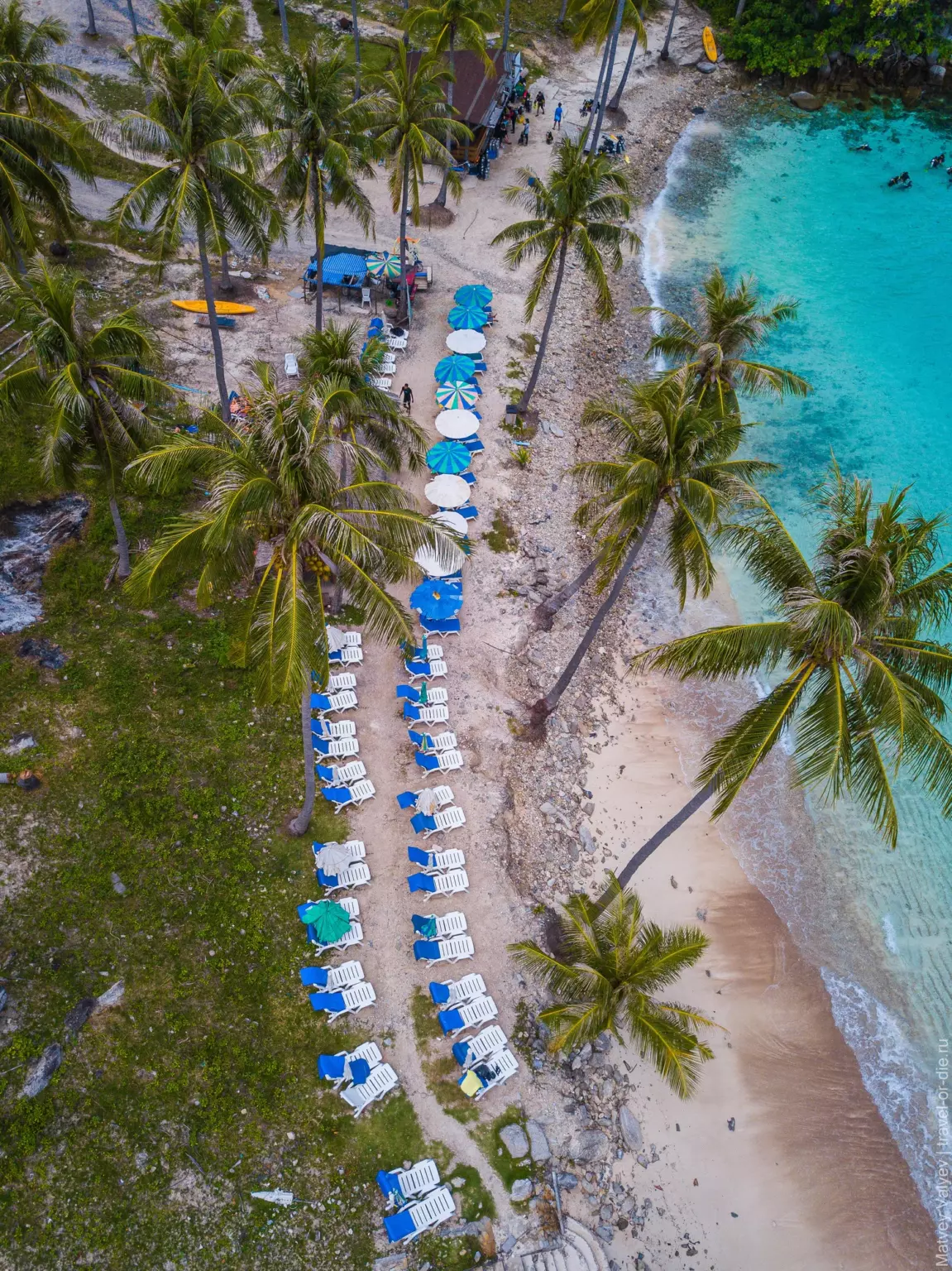 Пальмы и лежаки на Dive Beach с дрона